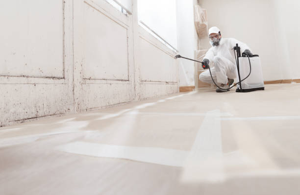 24/7 Emergency Mold Removal experts in Hudsonville, MI