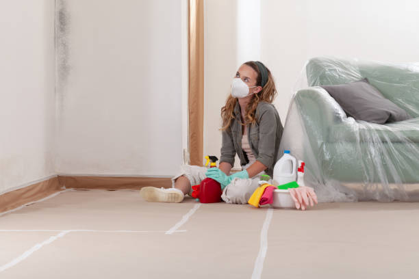 Reliable Mold Removal contractor in Hudsonville, MI by Mold Remediation HQ